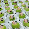 Caja de Empaque Sólida para Néctar de Álamo Caja Desechable de Pulpa Caja de Almuerzo de Celebridad de Internet Clip para Yogur Esmeralda Caja de Empaque para Postres