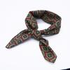 2022 Nuevo Estilo Coreano Bufanda de Cuello Estampada Moda Casual Bufanda Cuadrada Pequeña Fabricante Stock Mayorista Cinta