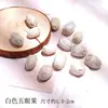 Pacote de Material de Flores Secas Espécime Jardim de Infância Casca de Fruta Caseira Flor Seca Bolota Porta-Retrato Espécime Pinha Porta-Retrato DIY Feito à Mão