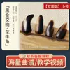 Uñas Profesionales para Guzheng para Niños y Adultos, Uñas Curvas de Doble Cara Específicas para Exámenes de Guzheng