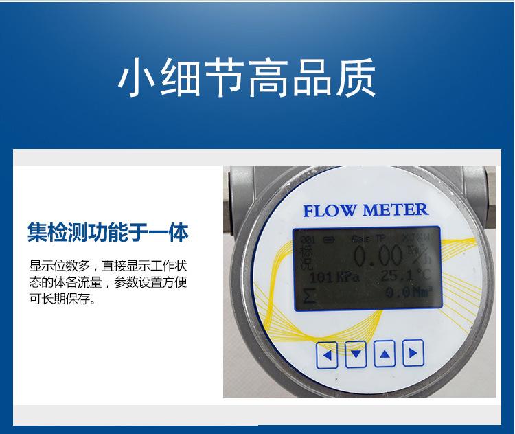 旋进旋涡流量计_07.jpg