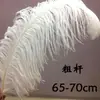 Venta Directa de Fábrica Plumas de Avestruz 15-75cm Día del Maestro Escenario Blanco Bodas Decoración DIY Venta al por Mayor