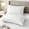 Fronhas estilo japonês, impermeáveis e resistentes a óleo, 48x74cm, resistentes ao suor, previne o amarelamento do enchimento do travesseiro, 48*74cm, par, adequadas para todas as estações