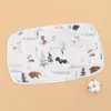 Almofada de Nuvem para Recém-Nascidos, Almofada Plana para Bebê, Almofada para Bebê, Almofada de Nuvem de Gaze, Absorvente de Suor, Respirável, Paninho de Arroto Lavável à Máquina