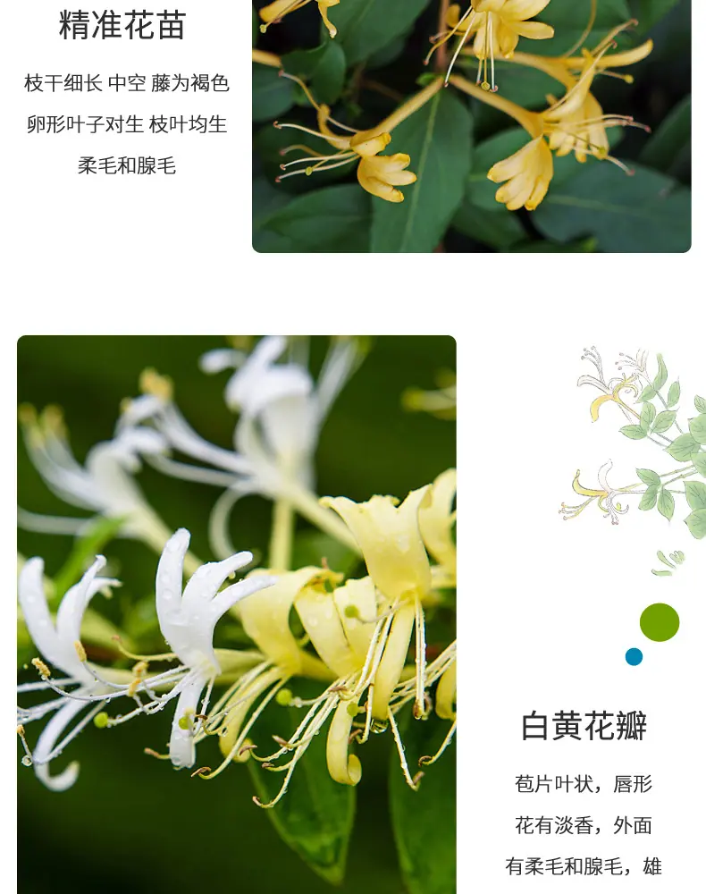 详情图片_06