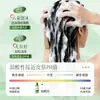Baizhentang Folha de Tuia Aloe Vera Shampoo Refrescante e Fofo Atacado Refrescante, Cabelo Fofo e Sedoso Cuidado Capilar Sedoso