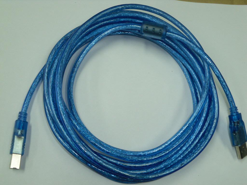 DSCI0381