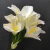 Planta Ornamental Clívia Artificial Haste Única Clívia Orquídea de Vaso Flor Única Estilo Ins