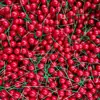 Bayas Rojas Navideñas Tallo Único Fruta Artificial de Espuma Bayas Rojas Brillantes Suministros Navideños Accesorios Materiales para Manualidades Guirnaldas