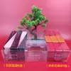 Bolsa de Embalaje para Té de Té de Roca Wuyi Dahongpao Té Silvestre Bolsa Pequeña Alargada Nido de Golondrina Canela Fénix Abeto Individual Bolsa Interior