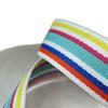 Cinta de Poliéster Fresca y Sencilla, Correas Arcoíris Multicolor, Cinturones, Correas de Mochila, Correas de Bolso de Mano, Accesorios para Equipaje y Accesorios para Ropa