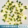 Luzes de Corda Artificiais de Rattan Alimentadas por Energia Solar para Grades de Quintal, Grades de Varanda, Iluminação de Ambiente, Hastes de Quarto e Dormitório, Decoração Externa