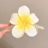 Presilhas de Cabelo Série Oceano com Flores Preservadas, Estrelas-do-Mar, Conchas e Frutas para Viagens à Beira-Mar e Fotos de Férias