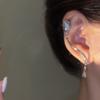 Clip para Cartílago de Oreja Flor de Rosa Plateada Microincrustado Flor de Zirconia Rama de Flor Aguja de Plata + Diseño de Clip para Cartílago de Oreja Clip para Cartílago de Oreja de Lujo Ligero Moda para Mujer