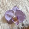 Flor de Iris Explosiva Phalaenopsis Perla Flor Hecha a Mano Pasador para el Cabello Flequillo Parte Trasera de la Cabeza Disco Pinza para el Cabello Tocado Mujeres