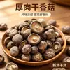 Champiñones Shiitake Secos Fujian Gutian Bolsa de 500g, Champiñones Seleccionados de Carne Gruesa para Saltear y Sopa, Adecuado para Uso Doméstico