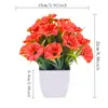 Planta Verde Artificial de Venta Caliente Transfronteriza en Maceta Eucalipto Gloria de la Mañana Decoración de Escritorio para el Hogar Plástico Pequeño Bonsái