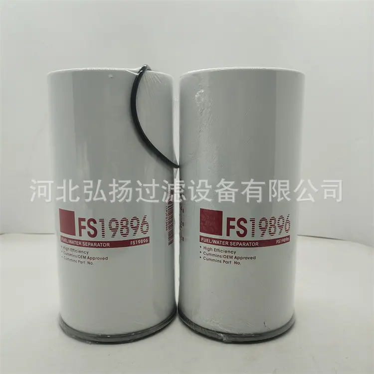FS19896_副本