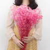 Buquê de Gipsofila Seca Preservada Flores Secas Brancas Flores Reais Secas ao Ar Flores Grandes Decoração de Sala de Estar Arranjo de Flores Flores para Fotografia de Casamento