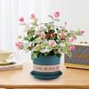 [Pedra Pendente de Flores e Folhas] Plantas Verdes Trepadeiras Coloridas, Plantas de Flores em Vasos para Mesa no Escritório, Fáceis de Cultivar, Resistentes ao Calor e ao Frio