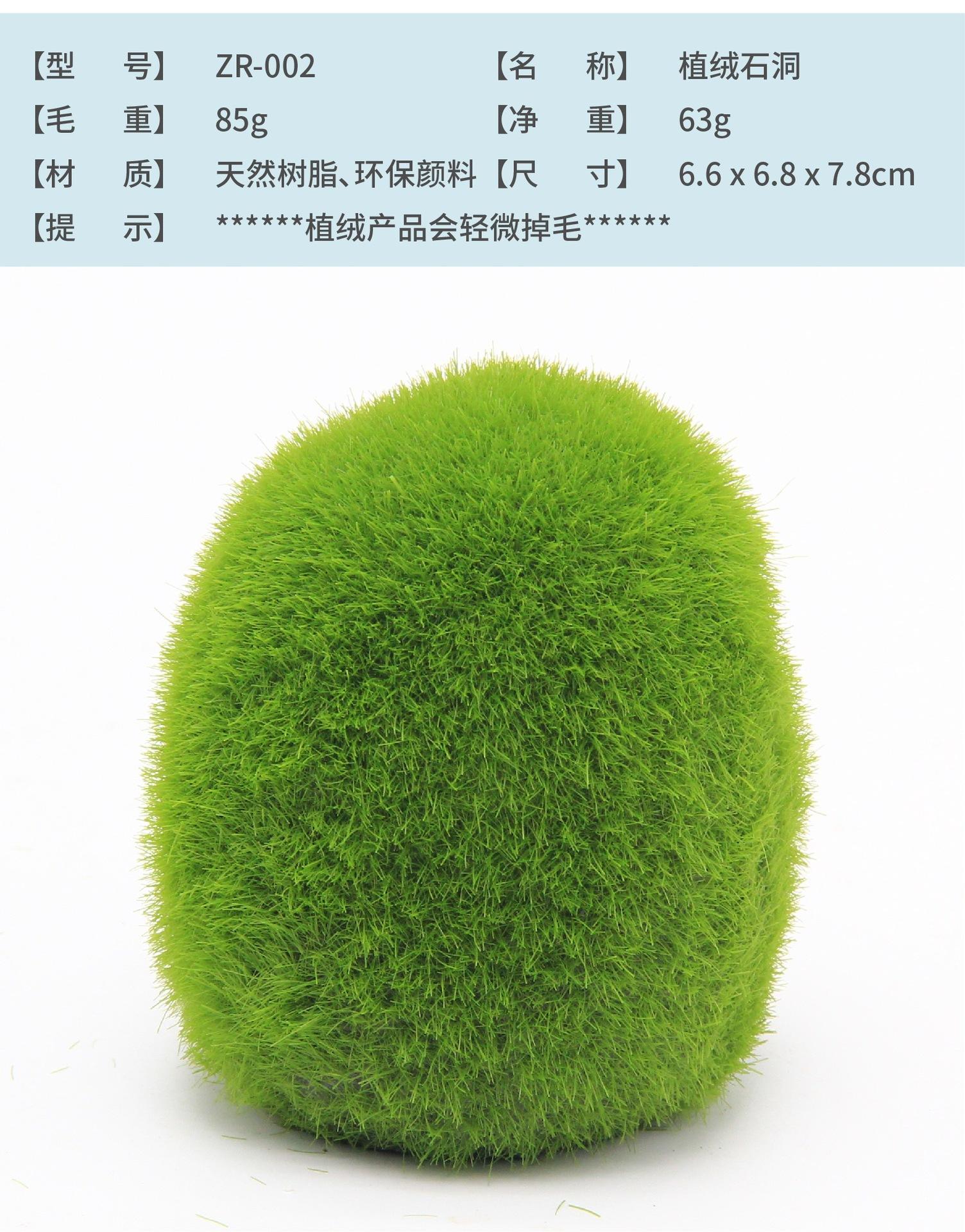 ZR-002-03.jpg
