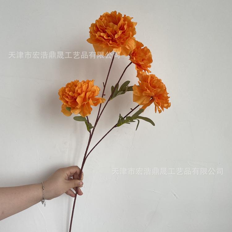 微信图片_202206101507034_副本