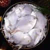 Pez Plata Pescado Plano Capturado en Estado Salvaje Aguas Profundas Congelado Pescado Blanco Grande Mariscos Productos Acuáticos Caballa Productos Acuáticos Frescos Venta al por Mayor Comercial