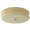 Lámpara de Techo Simple Color Crema Medieval Francesa Nórdica Dormitorio Americano Pasillo Entrada Atmósfera Lámpara de Vidrio Fabricante Venta al por Mayor