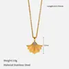 Collar Chenhe de Acero de Titanio para Mujer, Diseño que No se Desvanece, Colgante de Cadena, Joyería de Cadena para Clavícula de Acero Inoxidable, No se Desvanece en Verano