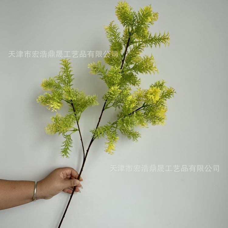 微信图片_20230904085320_副本