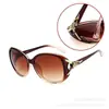 Gafas de Sol Clásicas con Cabeza de Zorro de Celebridad de Internet, Gafas de Montura Grande de Moda y Versátiles, Gafas de Sol Camelia con Protección UV al por Mayor