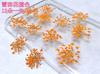 Atacado contas de neve flor renda flor estrela flor rosto maquiagem flor espécime de flor DIY artesanal flor epóxi manicure