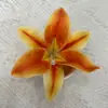 Cabeça de Flor de Lírio Impressão 3D Flor Artificial Grampo de Cabelo Adorno de Cabeça Arranjo de Flores Feito à Mão DIY Casamento Decoração de Casa Linda Flor Artificial