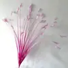 Capim Pampas Artificial Transfronteiriço com 12 Galhos para Decoração de Casa, Folhagem Falsa, Flores Artificiais, Capim Reed para Casamentos