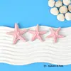 Estrellas de Mar Simuladas Accesorios de Resina DIY Imanes para Refrigerador Hechos a Mano Pinzas para el Cabello Fundas para Teléfono Hebillas para Zapatos Accesorios Materiales Venta al por Mayor