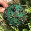 Trampa de Bola para Mosca de Cítricos de Huerto Mosca de la Fruta Abeja Grande Pequeña Mosca de Comida Bola Pegajosa para Insectos Bola para Moscas Bola para Insectos Voladores Trampa para Mosca de la Fruta