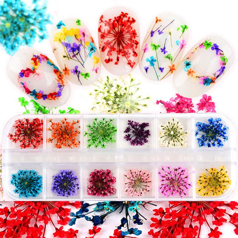 12-Colors-DIY-Nail-Art-Mixed-D