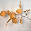 Flor de Simulação Folha Ping An Folha de Pão Decoração Folha Flocagem Flor de Simulação Adereços de Fotografia Fotografia Casa