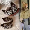 Zapatos de Algodón de Dos Capas Cálidos y Felpudos Birkenstock de Moda para Niñas 2026 Otoño Nuevas Llegadas Niños Bebé Suela Suave Calzado de Exterior Zapatos Peludos