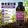Fertilizante revitalizante y fortalecedor para el hogar para promover el brote, el crecimiento de las raíces y un follaje exuberante en plantas suculentas en maceta; fórmula concentrada para mejorar la condición de las plantas atrofiadas