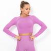 Gran Venta Celebridad de Internet Tejido sin Costuras Sexy Color Puro Top de Manga Larga Ropa de Yoga para Mujer Deportes Running Fitness Camiseta Transpirable