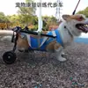Silla de ruedas para perros con discapacidad en las patas traseras, Asistencia para lesiones en perros mayores, Ayuda para caminar en las extremidades posteriores, Silla de ruedas para parálisis de mascotas, Entrenamiento en silla de ruedas para perros