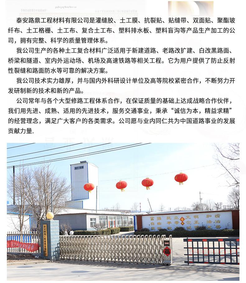 路鼎灌封胶首版_11(1).jpg