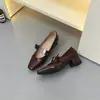 Zapatos Mary Jane de 4 cm para Mujer, Estilo Nuevo Primavera 2025, Punta Fina, Corte en V, Correa Única, Zapatos Pequeños de Piel, Tacón Grueso, Versátil Retro