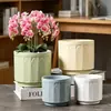 Vasos de Cerâmica Específicos para Orquídeas Phalaenopsis Grandes e Pequenas, Adequados para Plantas Pendentes, Árvores da Fortuna, Plantas Verdes e Suculentas, com Prato para Uso Doméstico