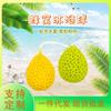 Cepillo Suave para Baño Infantil Esponja de Baño Flor de Espuma para Baño de Mujeres Bola de Baño No Lastima Queso Panal Japonés Bola de Baño