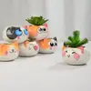 Animal de Caricatura Gato Colorido Expresión Maceta para Guardería Hoja Suculenta Maceta de Inserción Jardinería de Escritorio Maceta Pulgar para Plantas Verdes