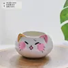 Gato Desenho Animado Hakimi Vaso de Cerâmica Flor Suculenta em Vaso Atacado Casa Decoração Vaso de Porcelana Branca