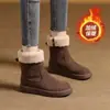 Nuevas Botas de Nieve Clásicas de Suela Gruesa para Mujer Otoño e Invierno 2025, Botines de Invierno con Terciopelo y Piel, Botas de Algodón Cálidas y Antideslizantes