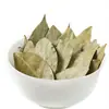 Hojas de Laurel Nuevas de Guangxi, Especias de Laurel para Cocina y Guisos, Hojas de Laurel Seleccionadas para Uso Doméstico y Comercial, Envasadas y Venta al por Mayor a Granel